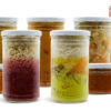 Kraftspeisenpaket Lactosefrei & Vegetarisch – Bild 2
