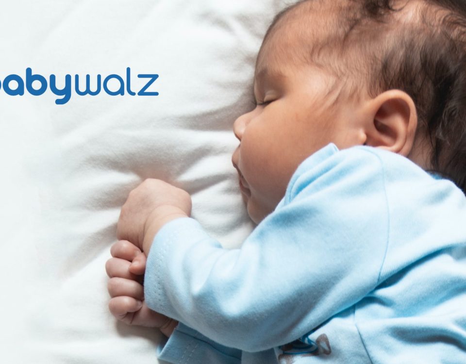 Mothers Finest: Essenslieferdienst für frisch gekochtes gesundes Bio-Wochenbettessen und Bio-Fertiggerichte für die Schwangere & frischgebackene Mamas für ein sorgenfreies Wochenbett