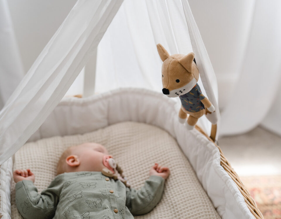 Rock my Sleep Schlaflieder