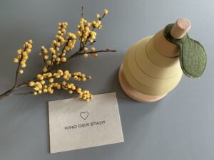 Mothers Finest Bio-Wochenbettessen für Mamas Kind der Stadt